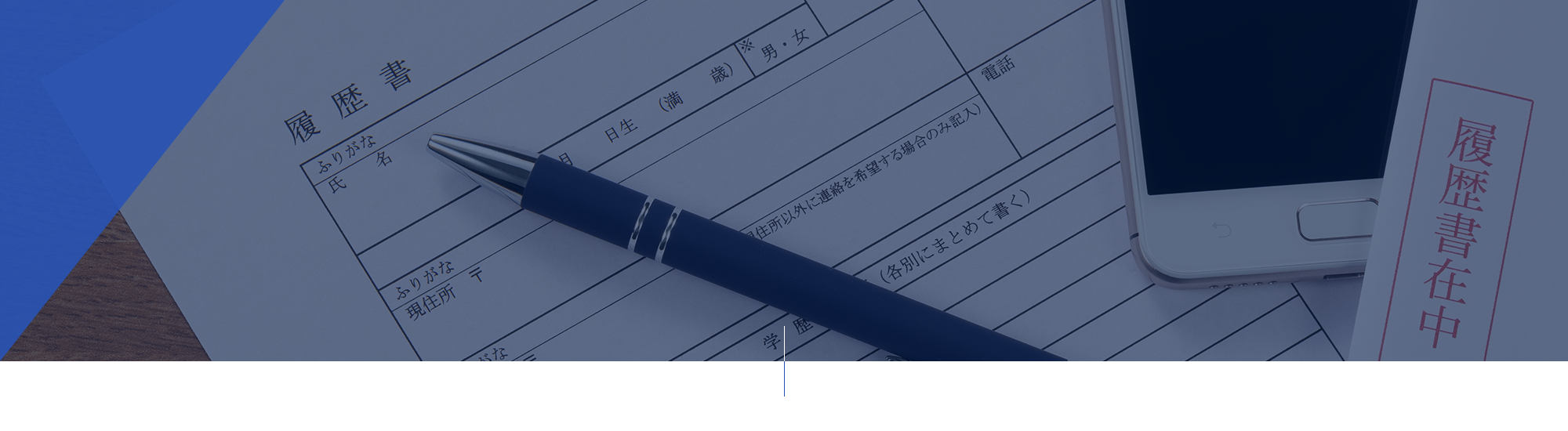 採用情報